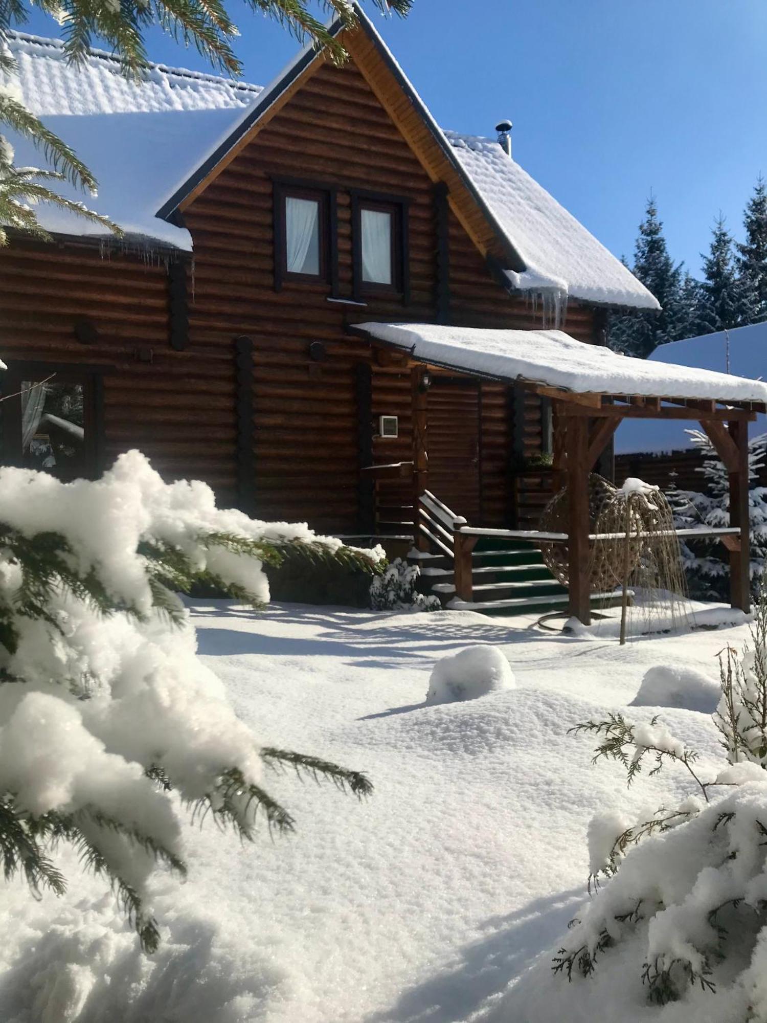 Cottage PolyaNitsa Bukovel Exteriör bild