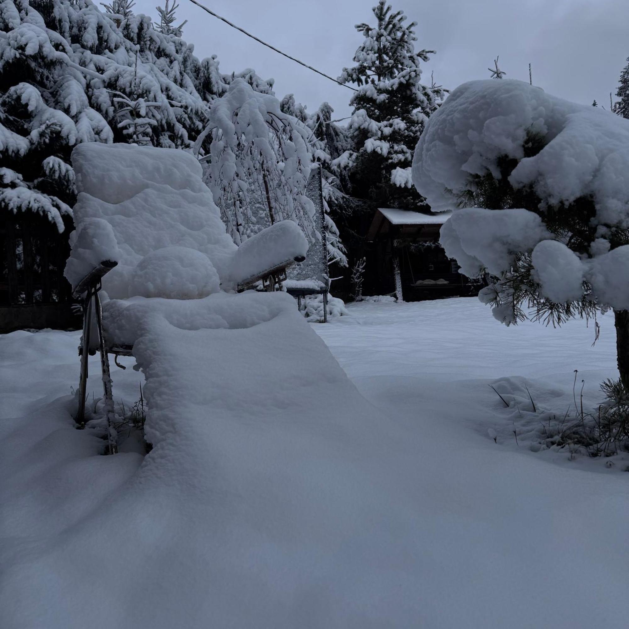 Cottage PolyaNitsa Bukovel Exteriör bild